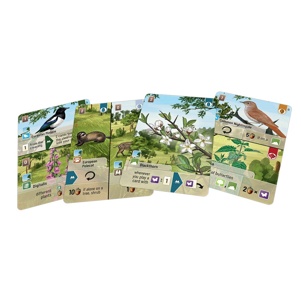 Forest Shuffle Woodland Edge Board Game The Compleat Strategist